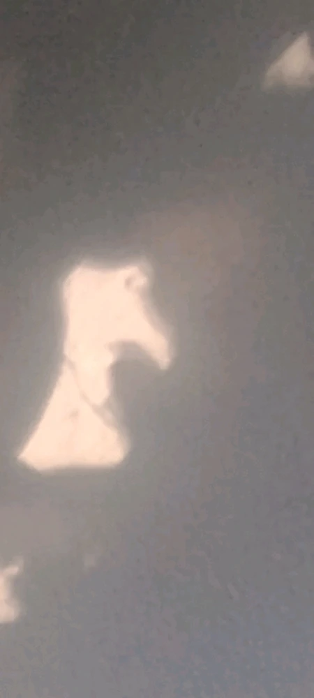 GIF uploaded by Zach