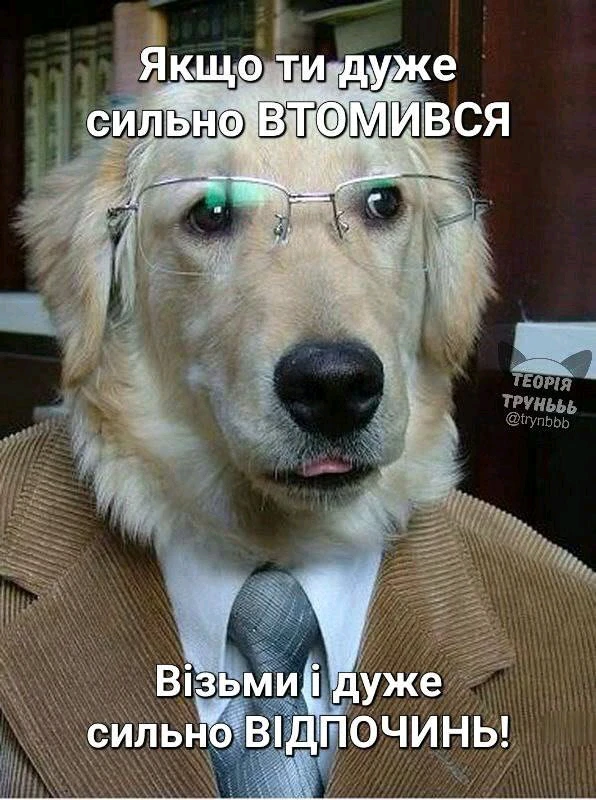 Гіфку завантажив Іван