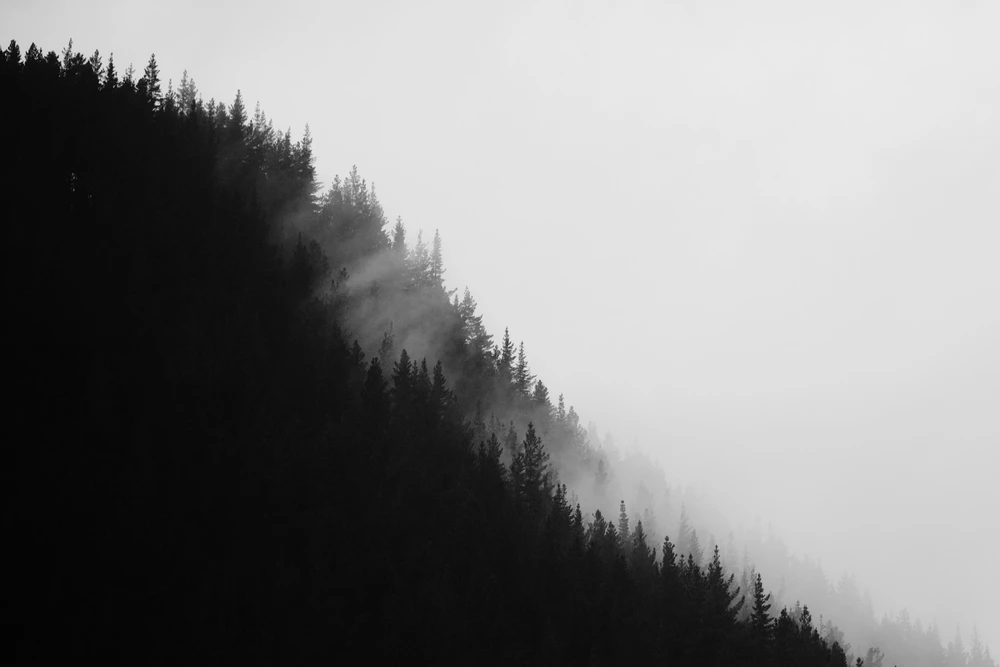 Image uploaded by Leon