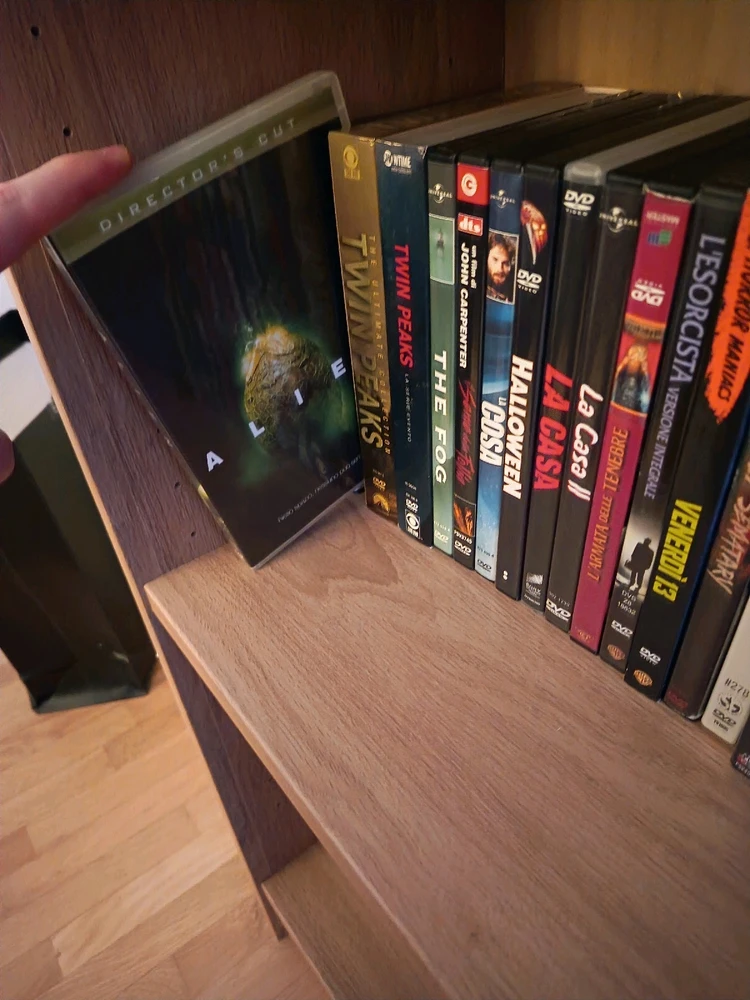 Parte della mia collezione di DVD horror