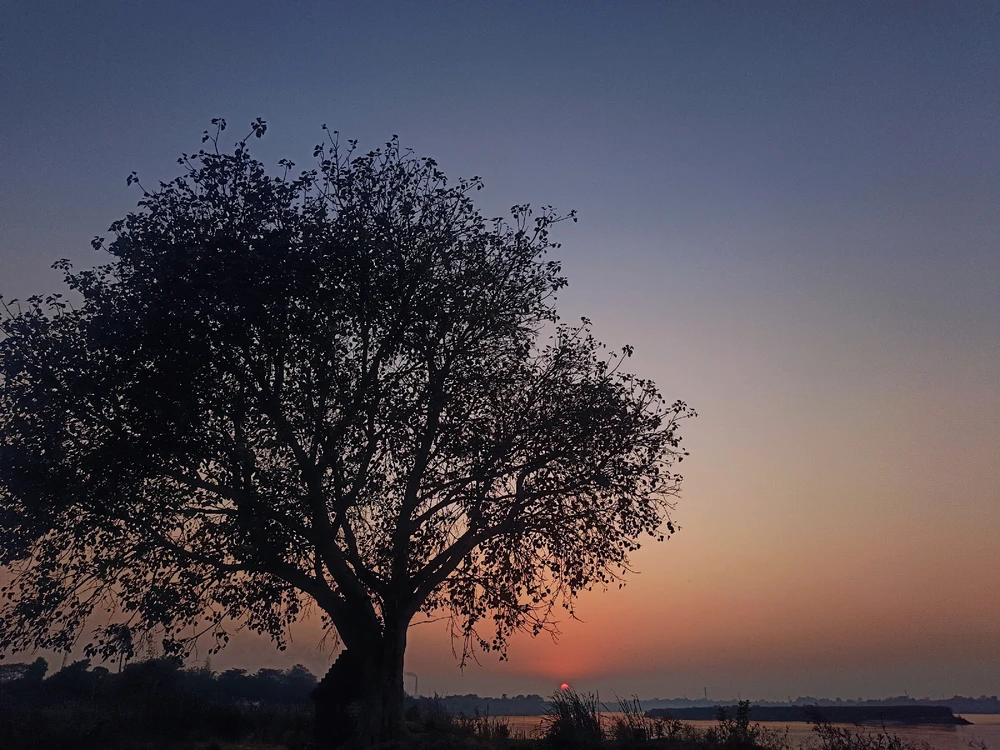 GIF uploaded by Rupam Sarkar