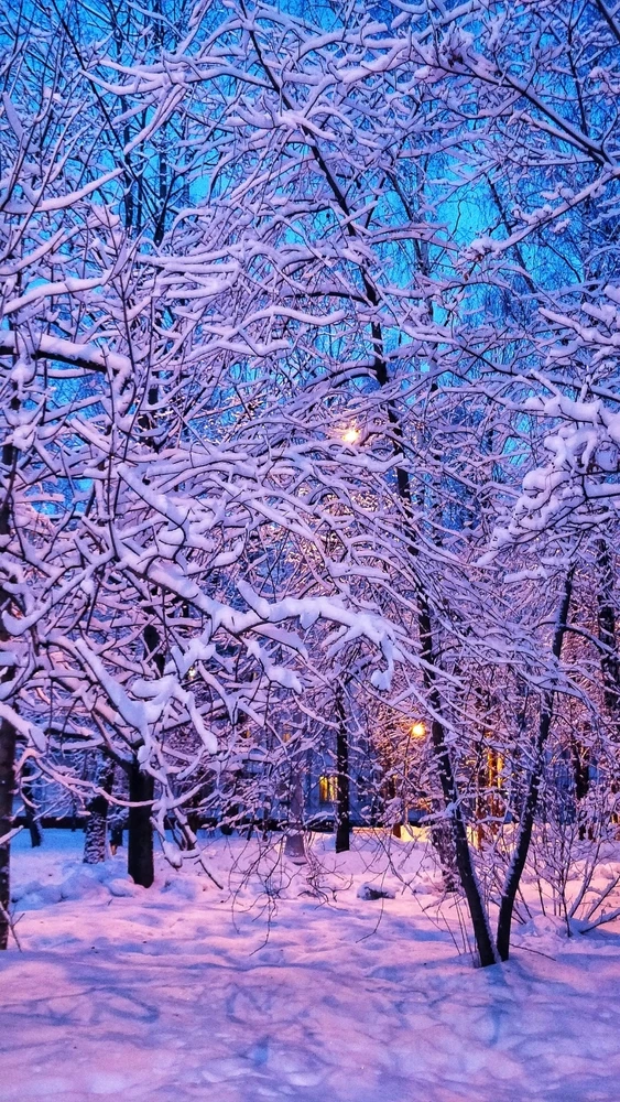 GIF uploaded by Nolan