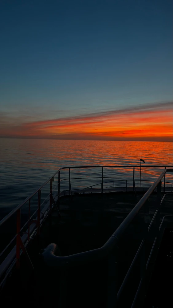 Image uploaded by Alex