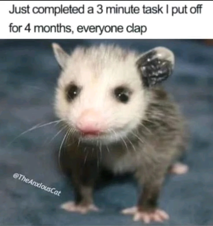 GIF uploaded by Petal