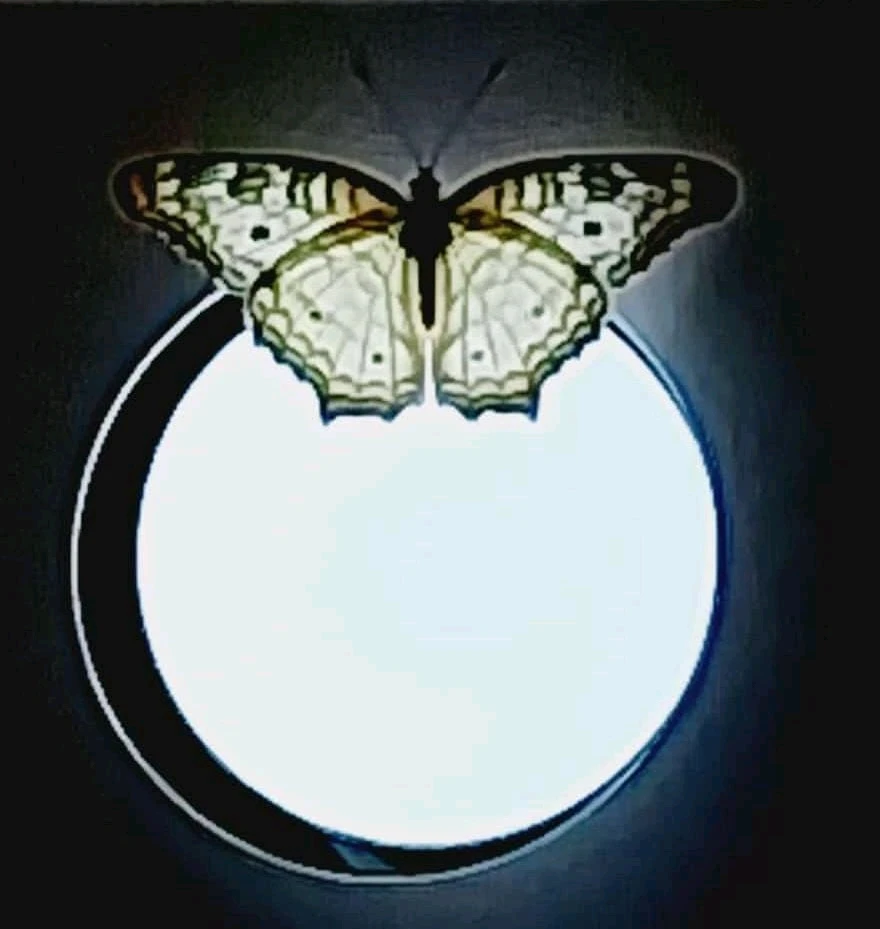 GIF enviado por Adriana