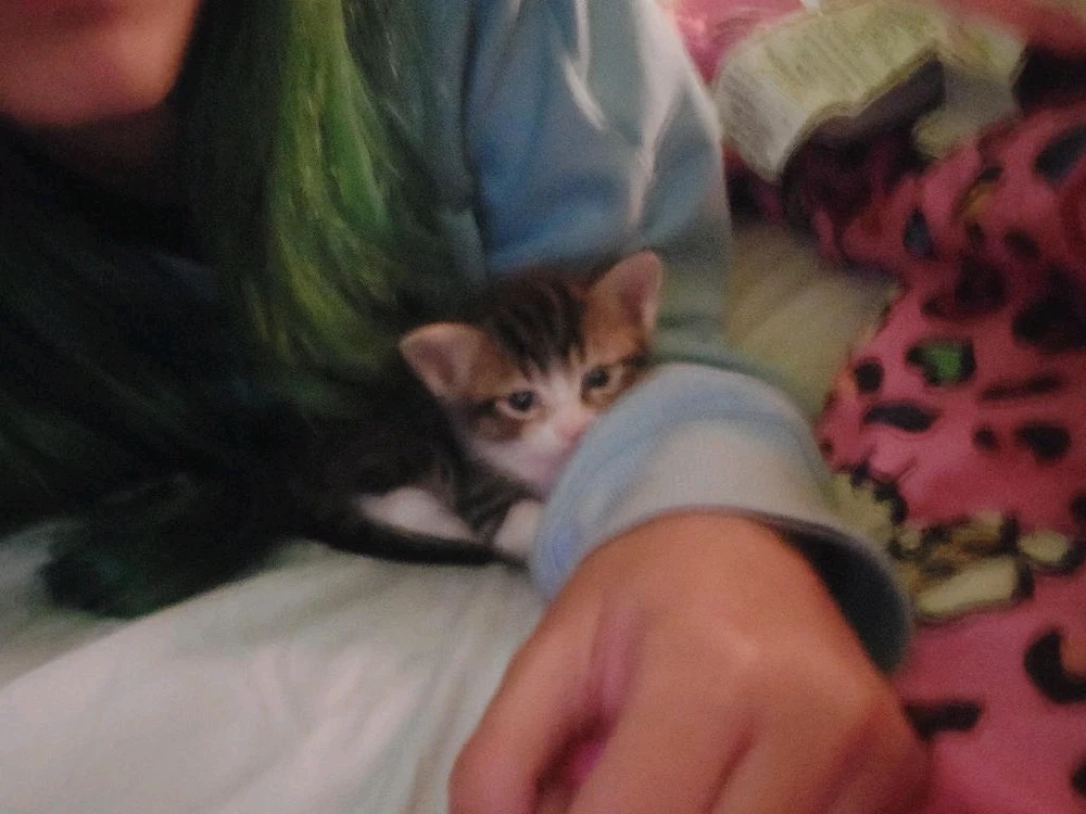 GIF uploaded by Jennifer