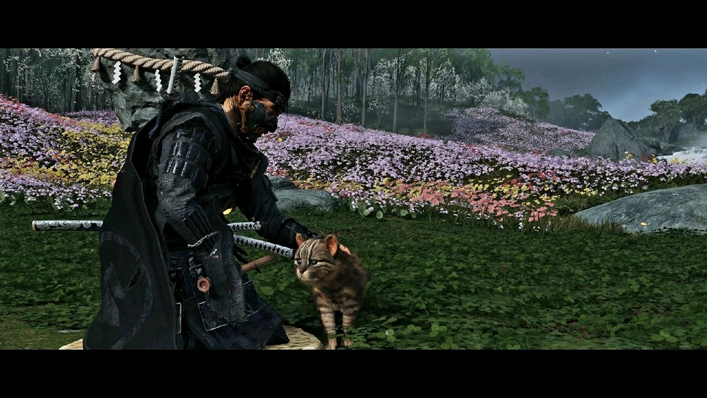 Onur tarafından yüklenen görsel