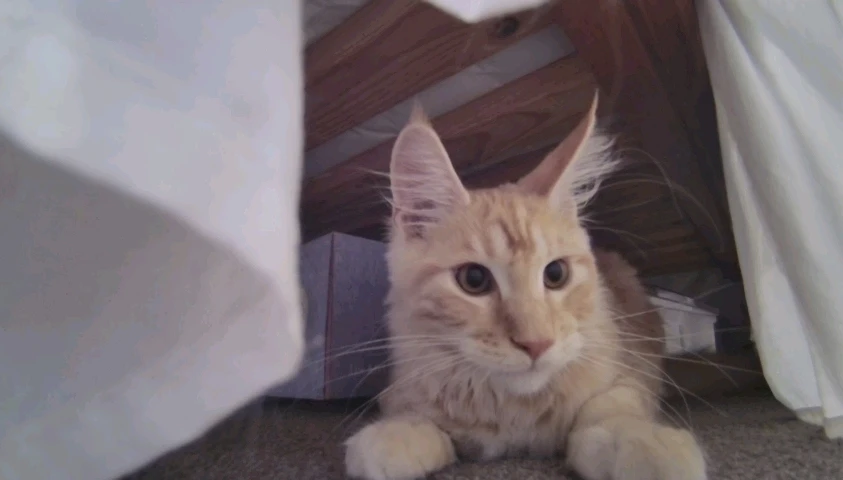 GIF uploaded by Jacob