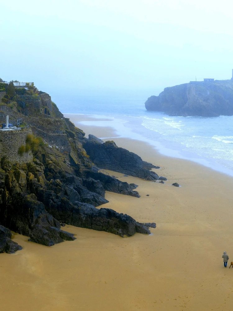 Image uploaded by Tom