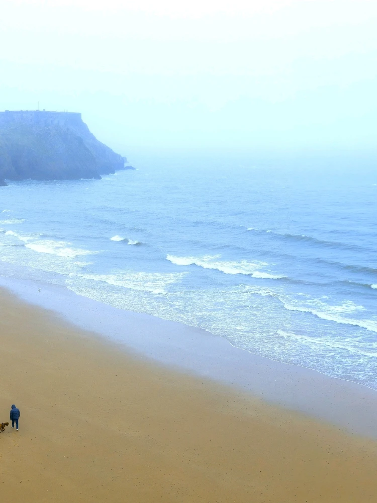 Image uploaded by Tom