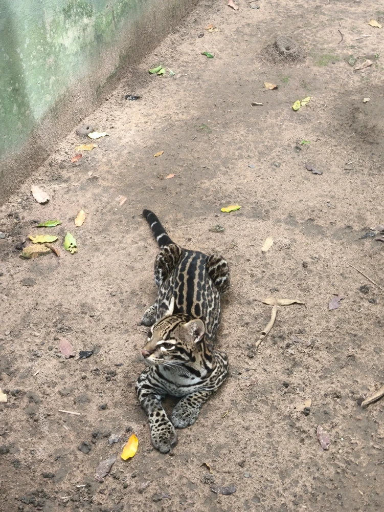 GIF enviado por Marcos
