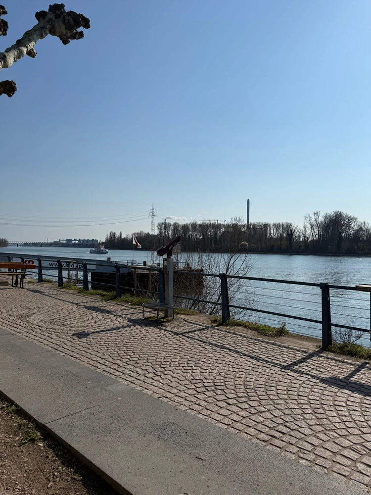 Bild hochgeladen von Ser Can