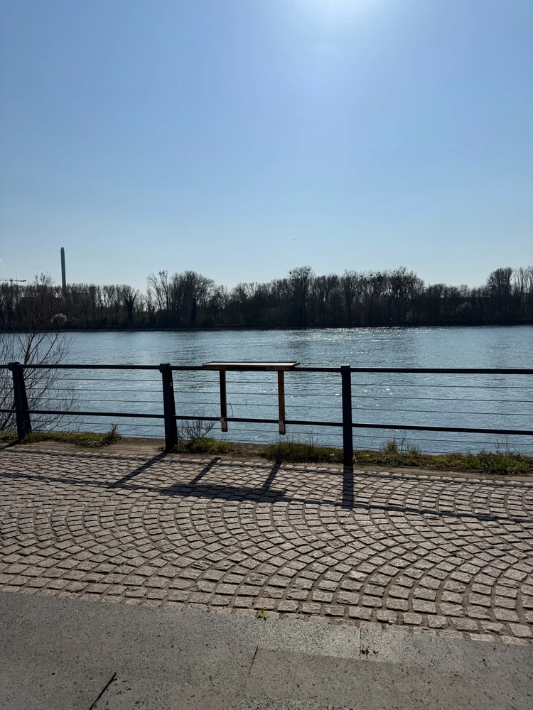 Bild hochgeladen von Ser Can
