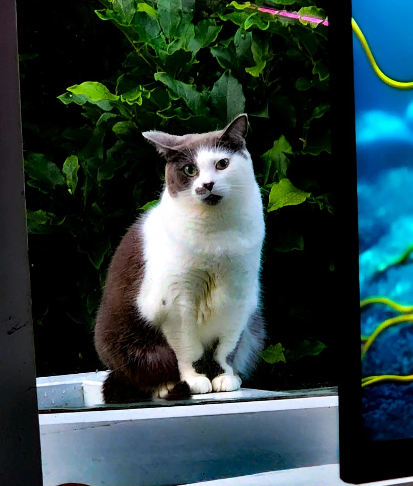 Image uploaded by Jakob