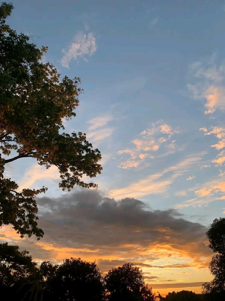 Image uploaded by Mika