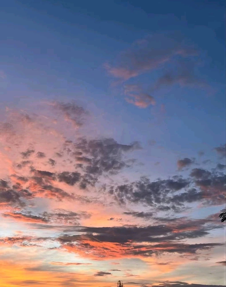 Image uploaded by Mika