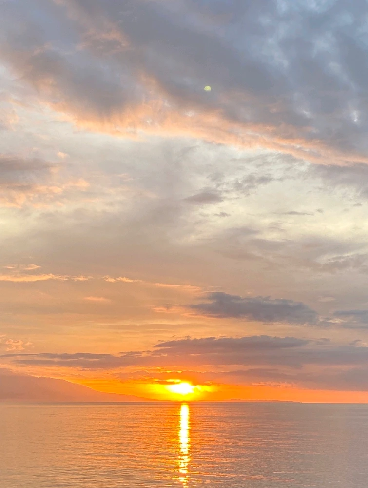 Image uploaded by Mika