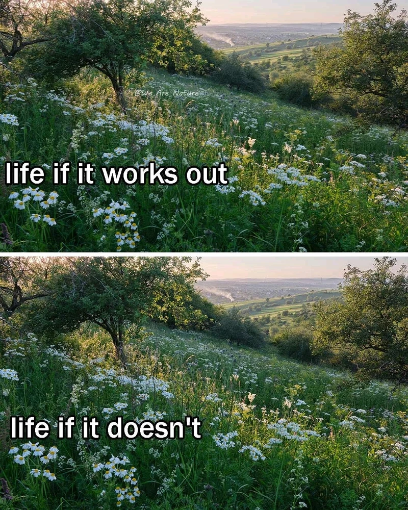 GIF uploaded by Brett