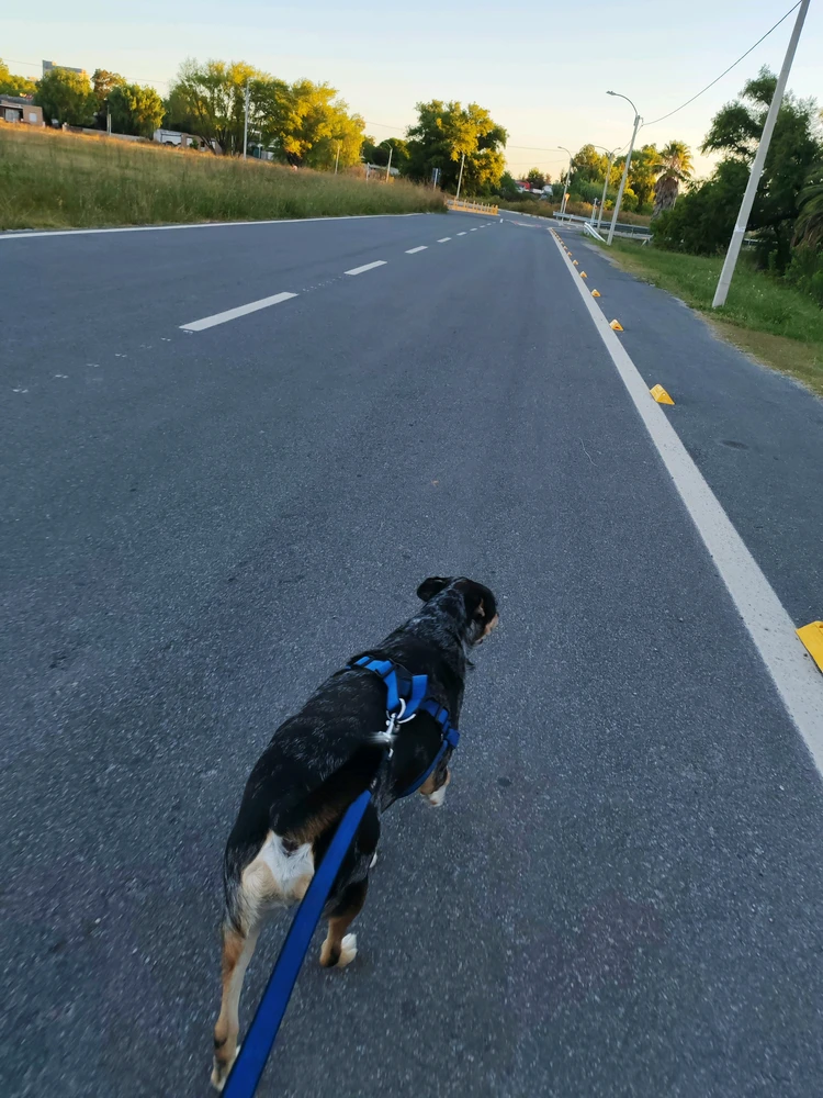 GIF subido por Mango