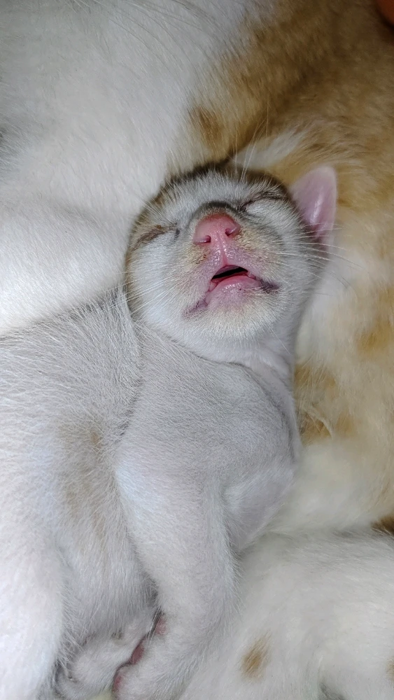 Devika അപ്‌ലോഡ് ചെയ്ത GIF