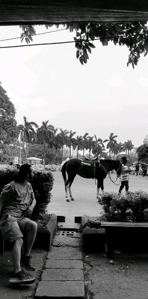 Gi-upload ni Yash Mishra ang hulagway