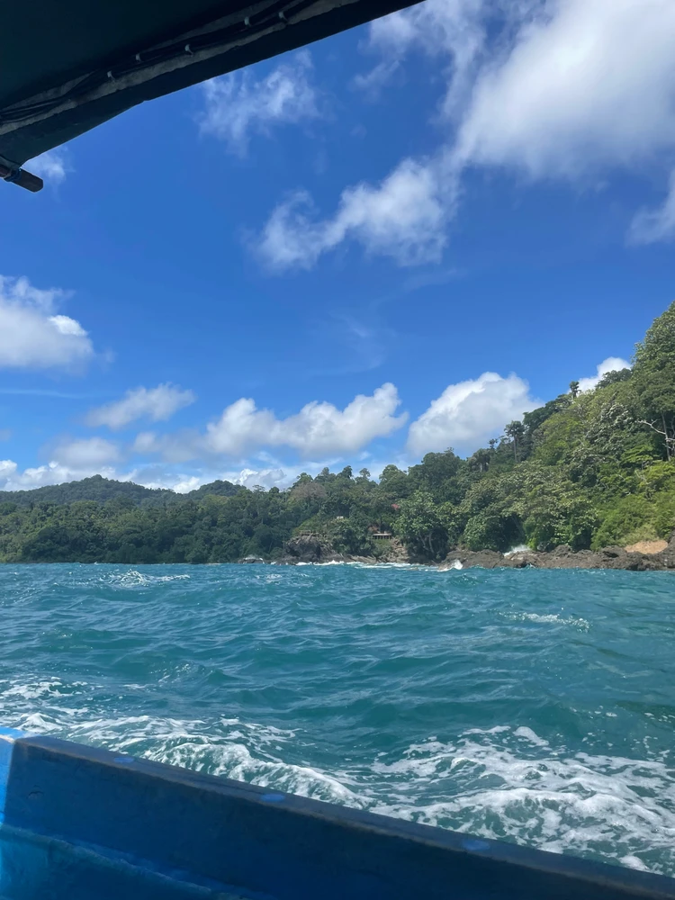 Image uploaded by Dewimyg