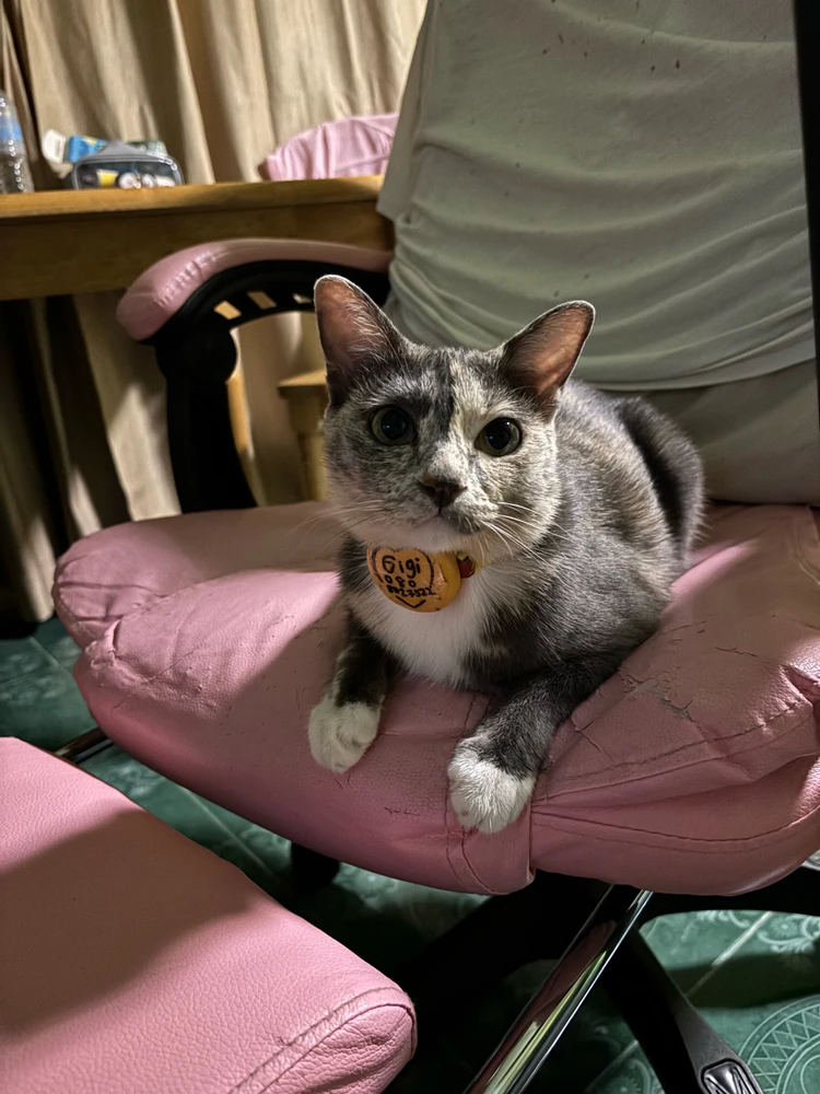 GIF uploaded by Pat♡