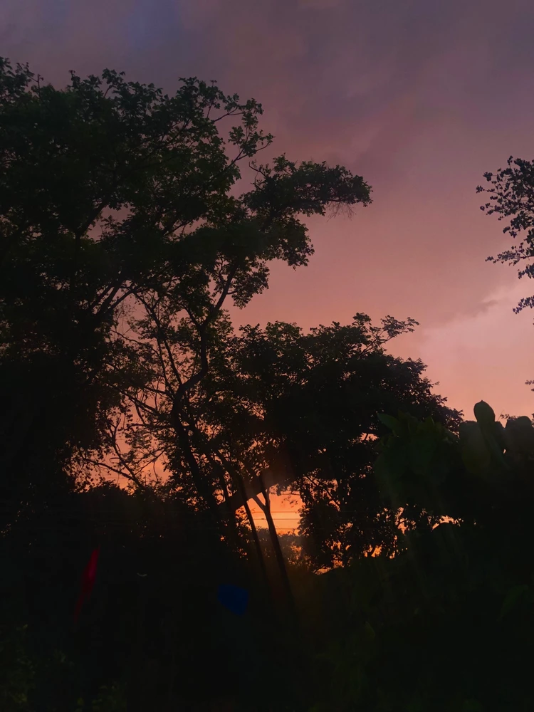 GIF subido por Diego