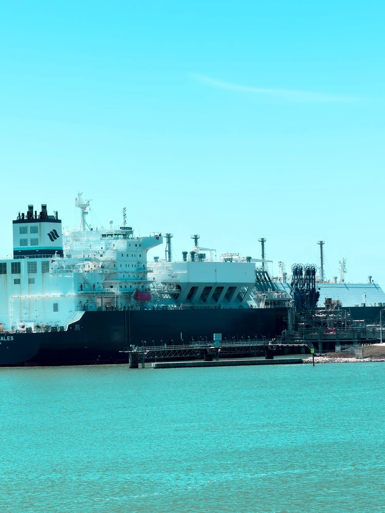 Image uploaded by Farhan Galib