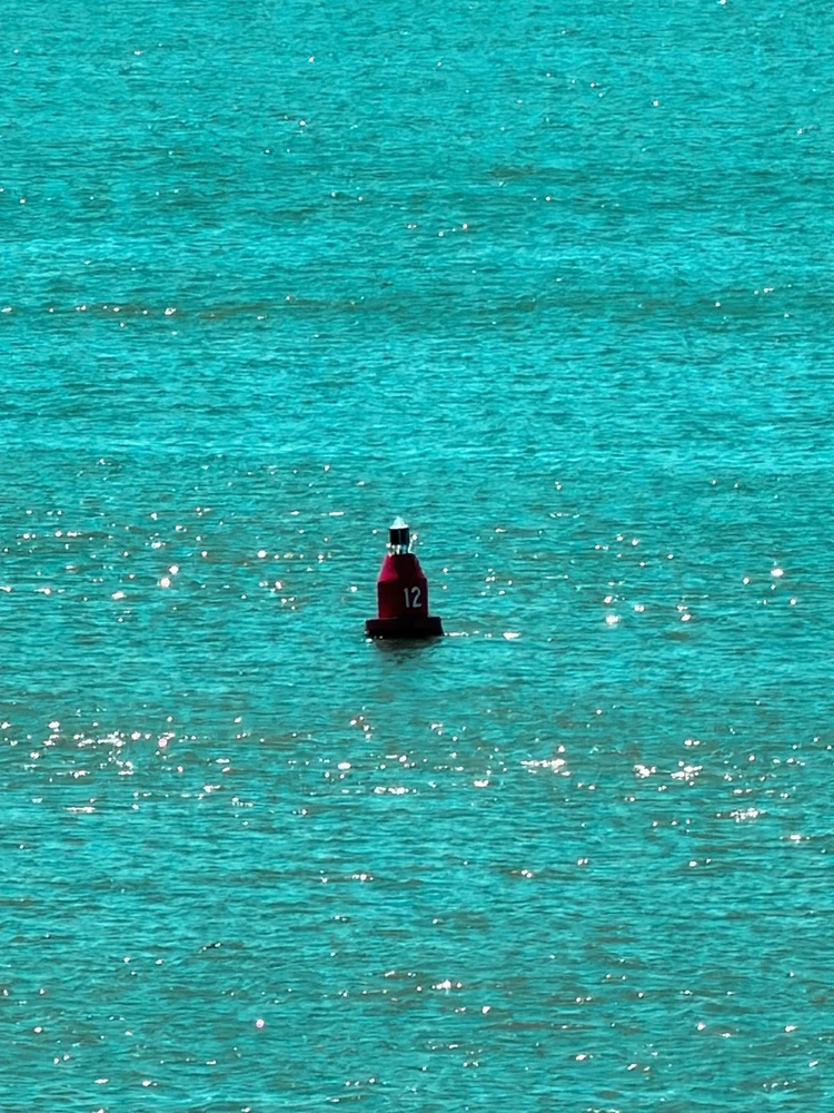 Image uploaded by Farhan Galib