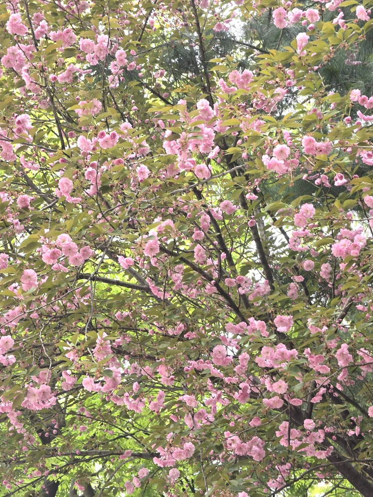 GIF uploaded by cy