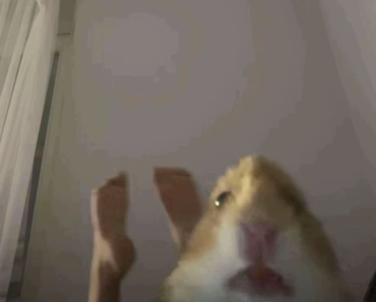 GIF uploaded by Ares