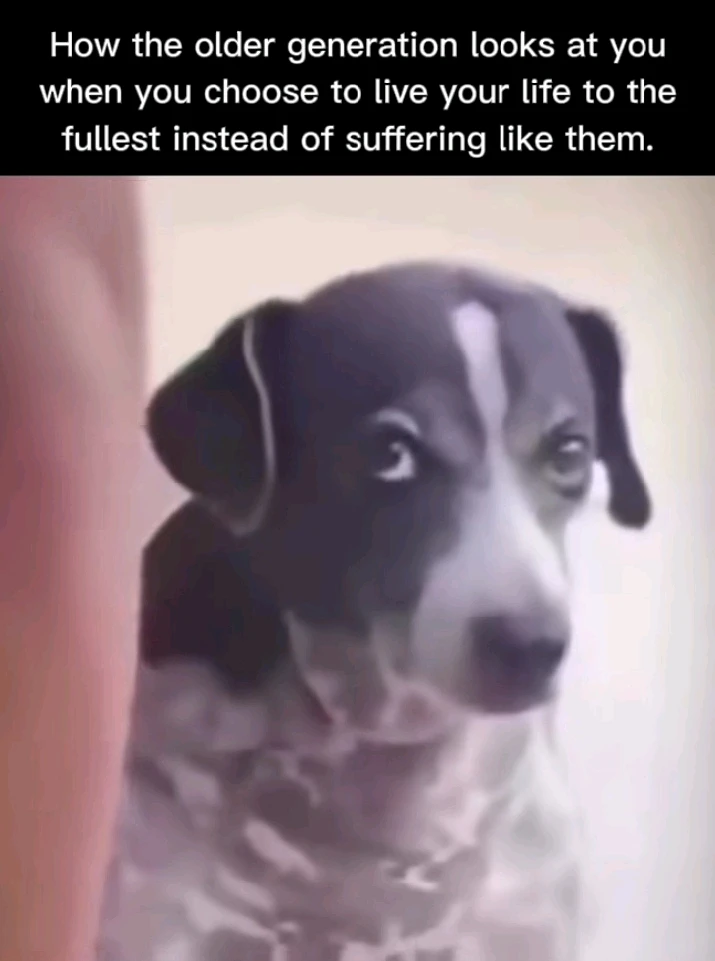 GIF uploaded by Tanushri
