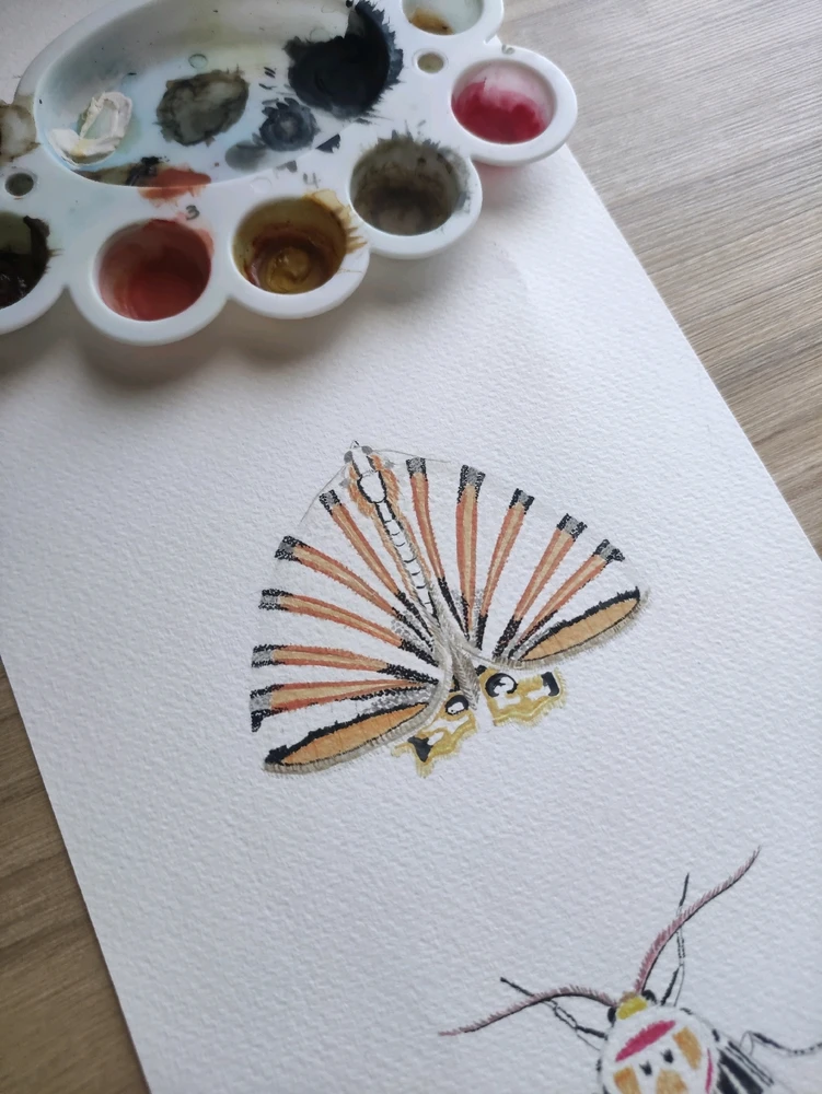 GIF uploaded by Pinina