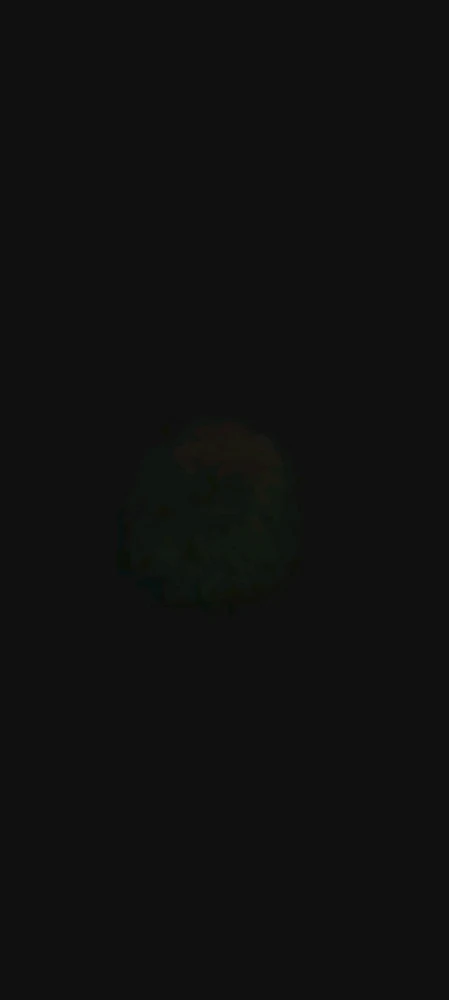Image uploaded by Ever B