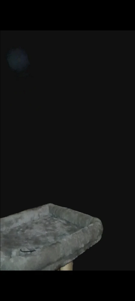 Image uploaded by Ever B