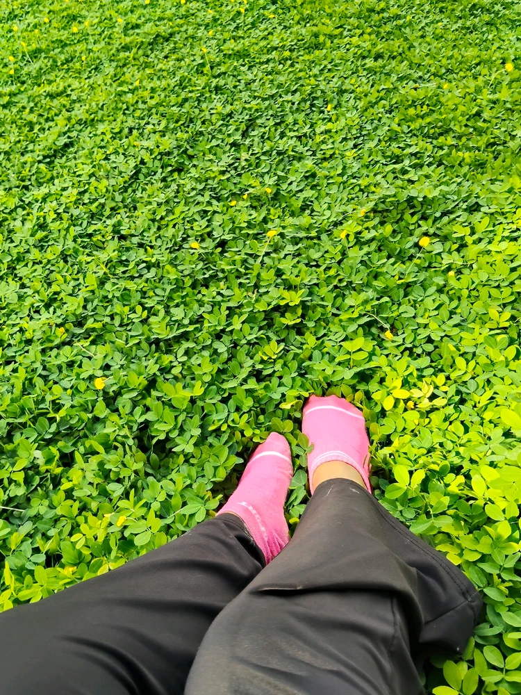 GIF diunggah oleh Angel