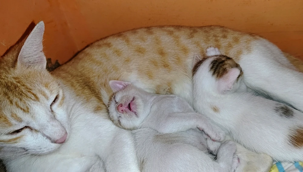 Devika അപ്‌ലോഡ് ചെയ്ത GIF