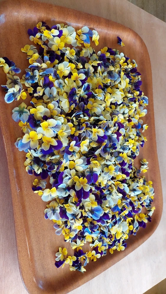 Afbeelding geüpload door Fleur