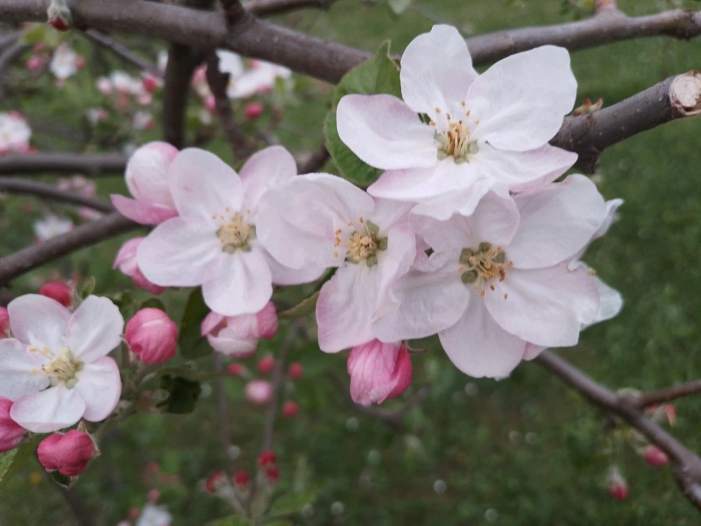 GIF uploaded by Kas