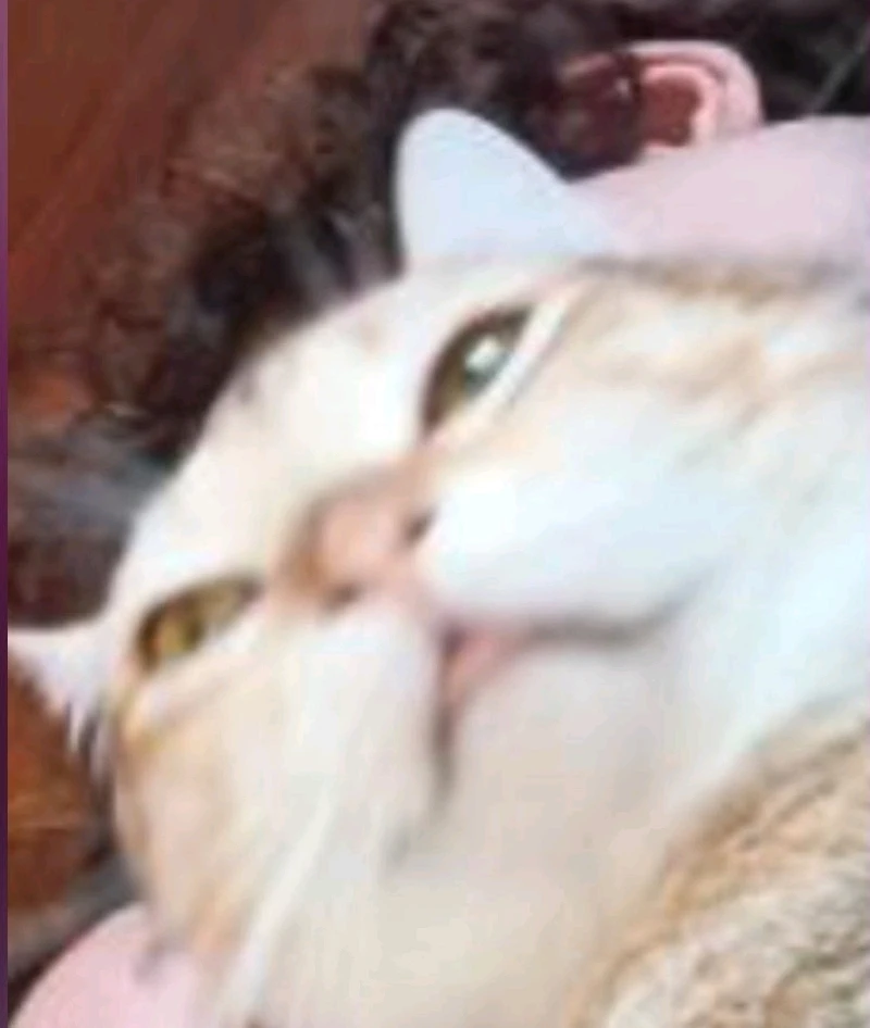 GIF ajouté par Oscar