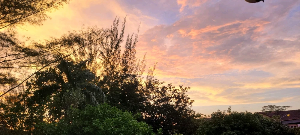 Image uploaded by 𝕾𝖙𝖊𝖕𝖍𝖊𝖓𝖎𝖊