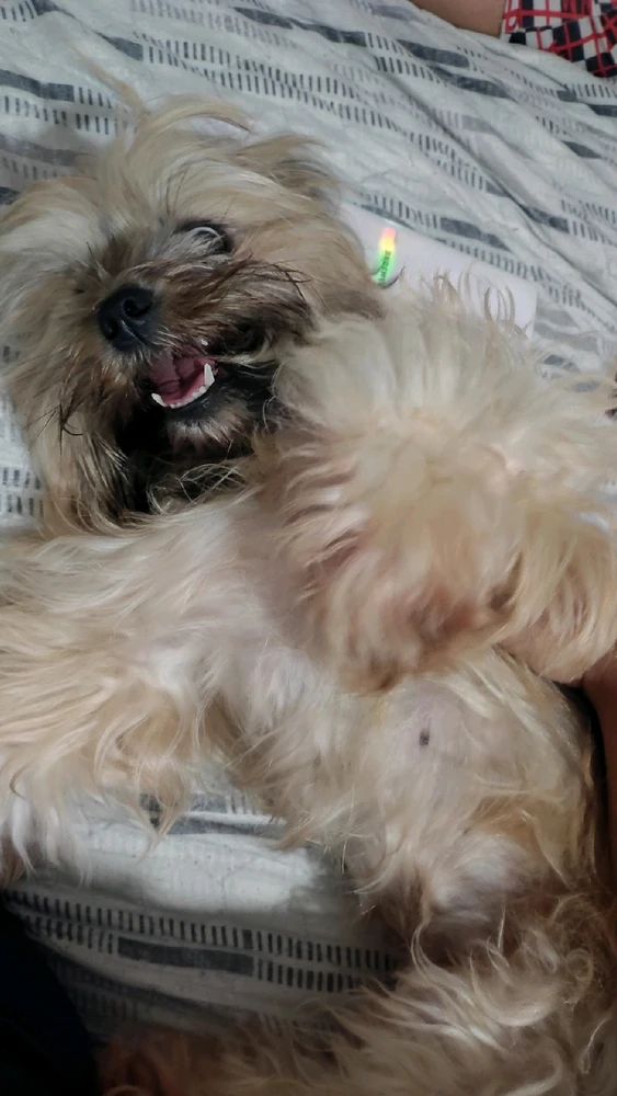 Imagem enviada por Shaia