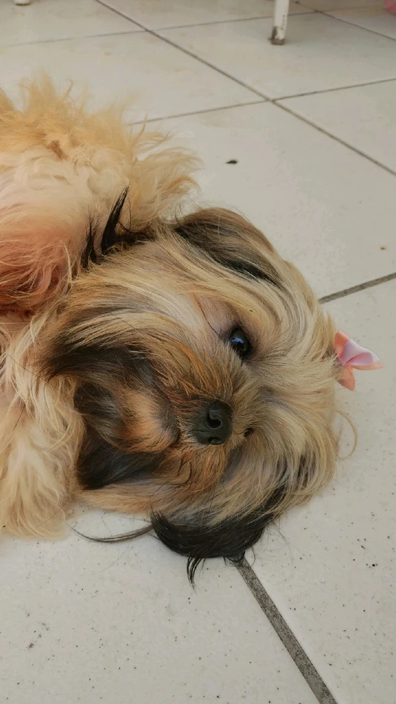 Imagem enviada por Shaia