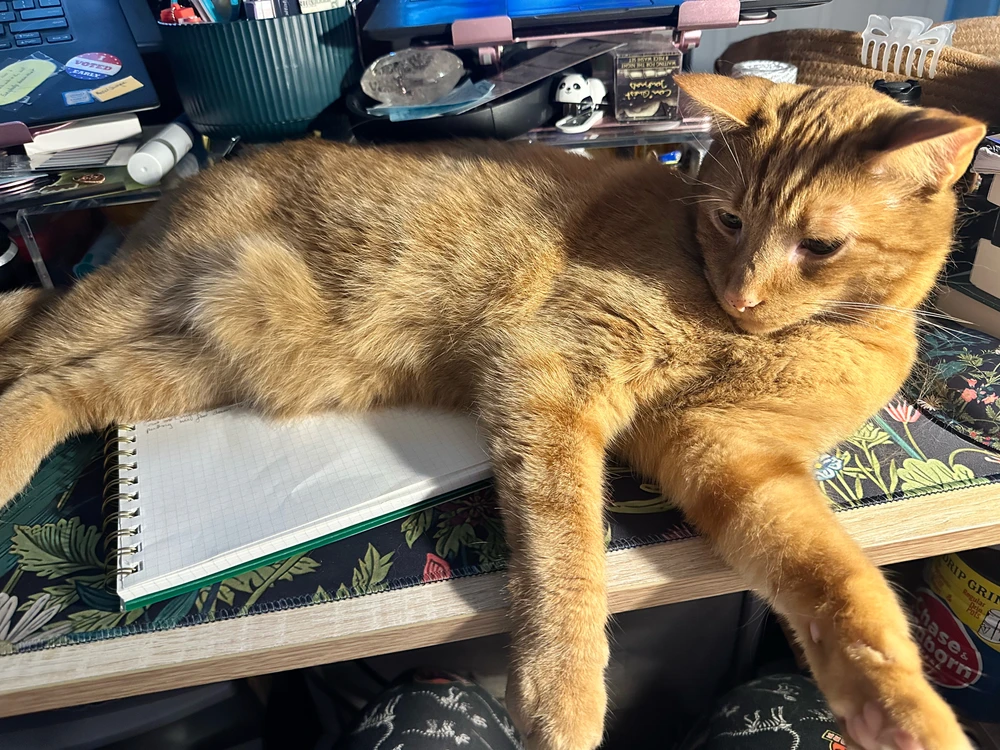 Image uploaded by Courtney