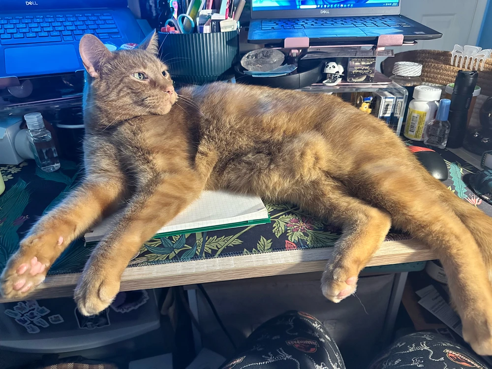 Image uploaded by Courtney