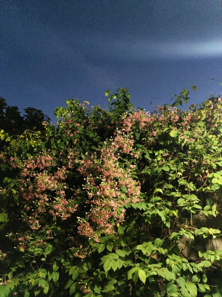 GIF uploaded by Raza