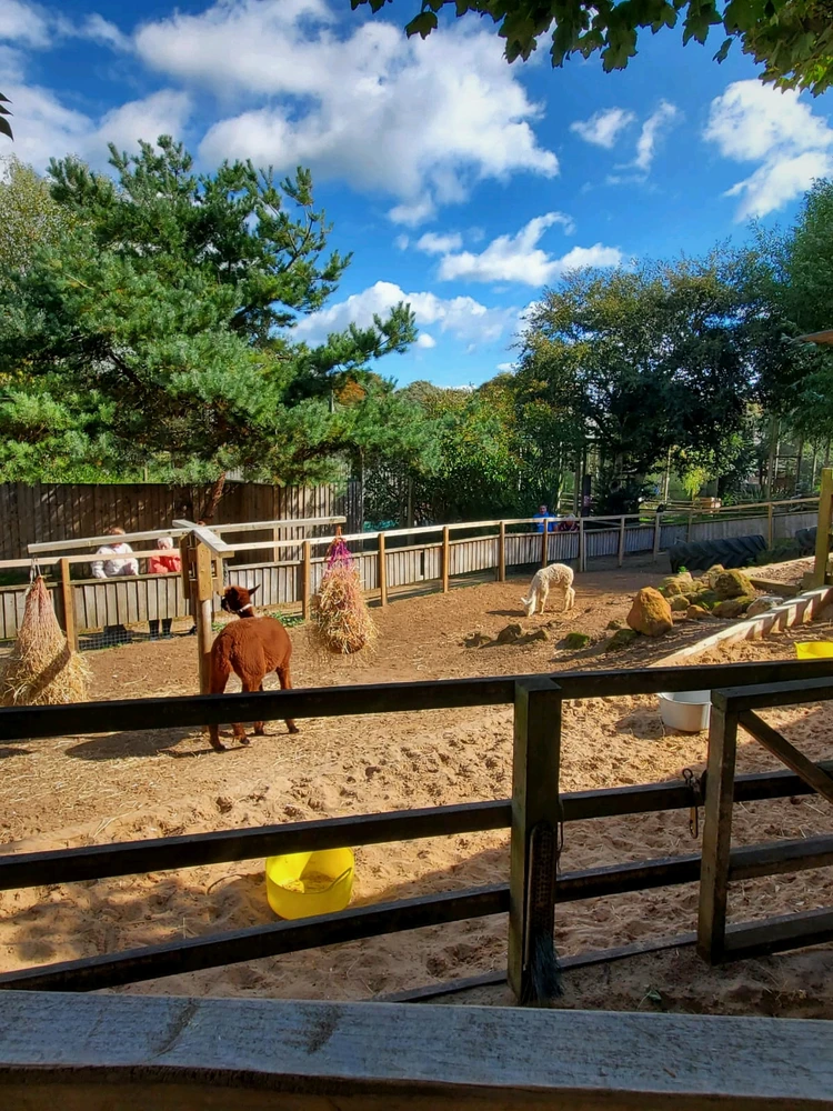 GIF uploaded by Saff