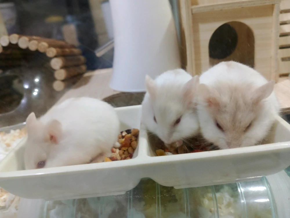 GIF uploaded by Katrine Ann