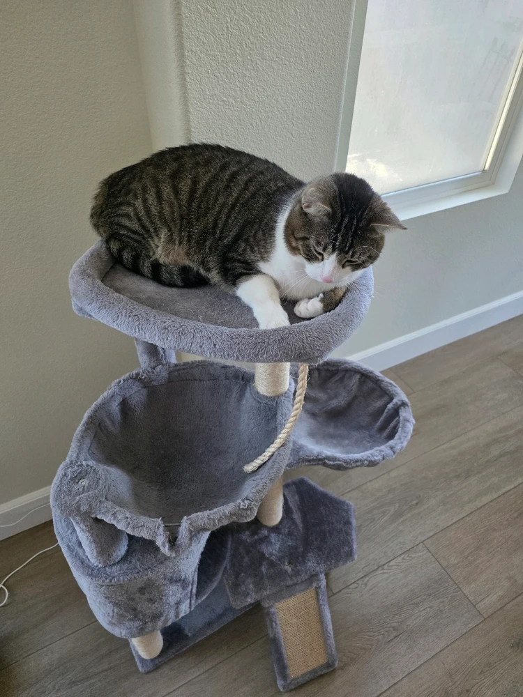 GIF uploaded by Benny